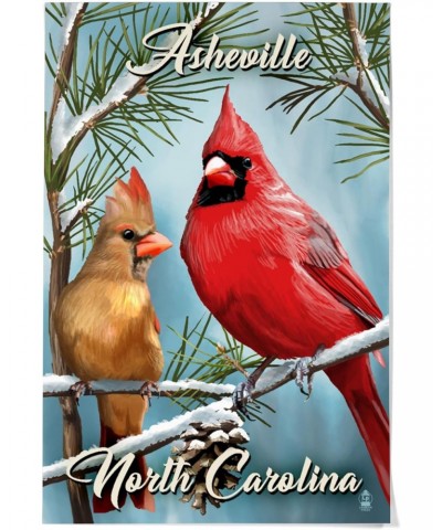 36x54 Inch Giclee Print, Asheville, North Carolina, Cardinals, Winter $49.49 Totes