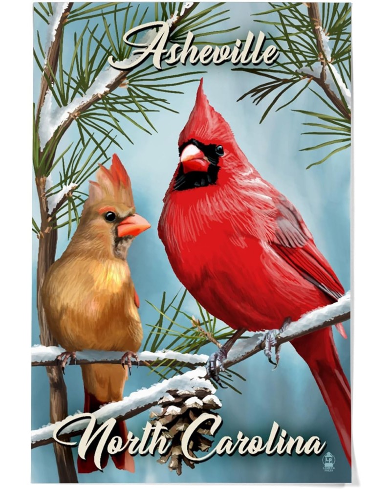 36x54 Inch Giclee Print, Asheville, North Carolina, Cardinals, Winter $49.49 Totes