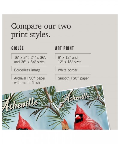 36x54 Inch Giclee Print, Asheville, North Carolina, Cardinals, Winter $49.49 Totes