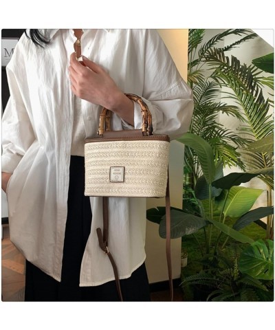 Small Bamboo Handle Straw Tote Bag Straw Bag Handbag for Women Crossbody Beach Bag Woven Shoulder Bag Purse In Summer (White)...