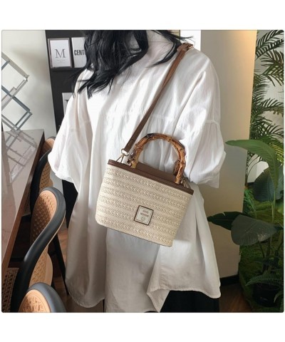 Small Bamboo Handle Straw Tote Bag Straw Bag Handbag for Women Crossbody Beach Bag Woven Shoulder Bag Purse In Summer (White)...