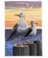 24x36 Inch Giclee Print, Brigantine Beach, New Jersey, Seagulls $29.99 Totes