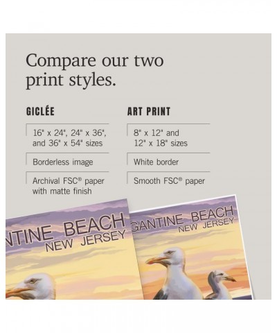 24x36 Inch Giclee Print, Brigantine Beach, New Jersey, Seagulls $29.99 Totes